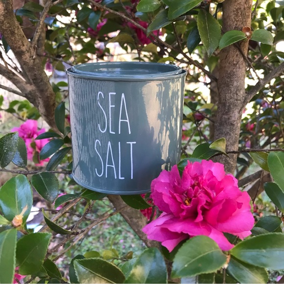SEA SALT CONTAINER NEW - Picture 12 of 15